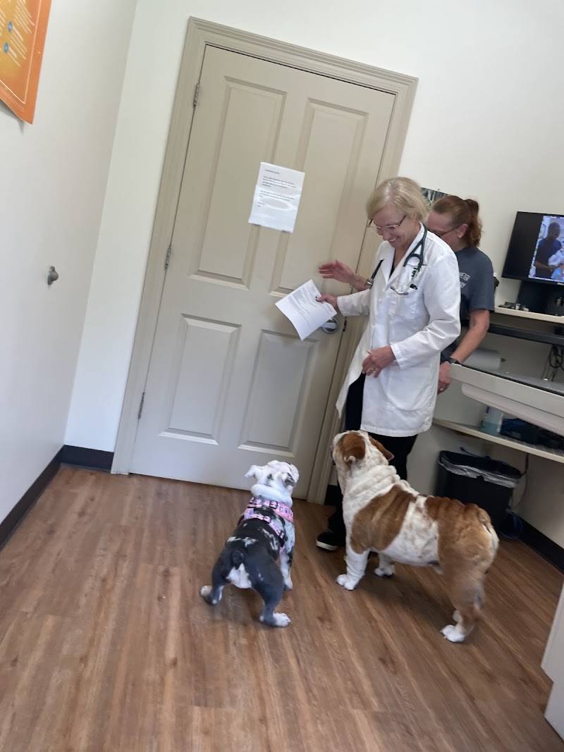 Kleinpeter Veterinary Hospital